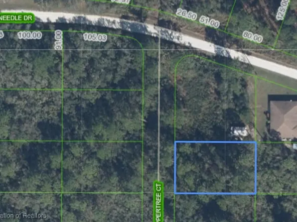 9742 Coppertree Ct, Sebring, FL 33875