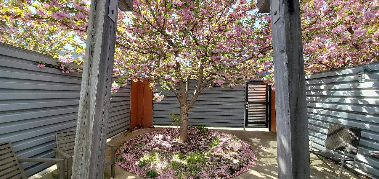 1 bed, 700 sqft, $1,500 — Photo 3