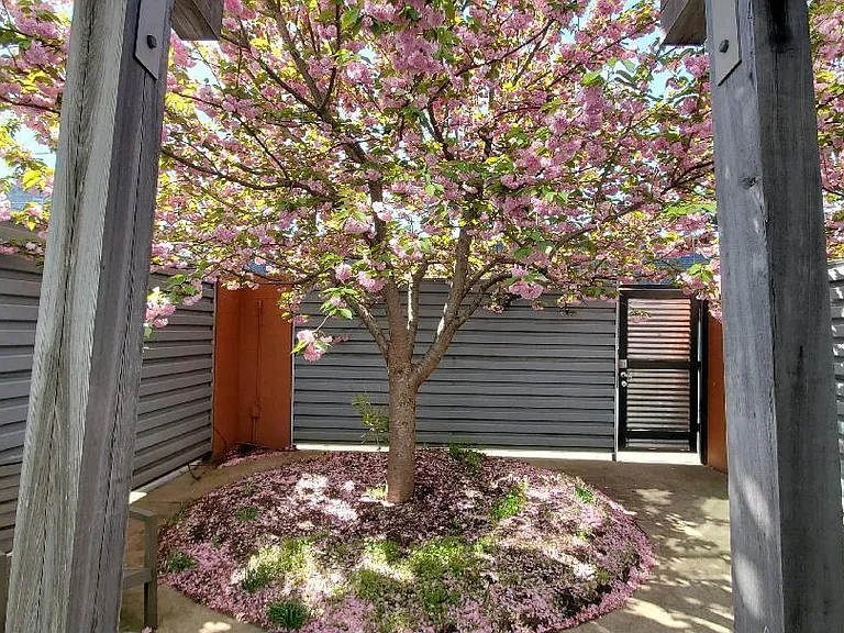 400 Salem Ave #1-C — Photo 3