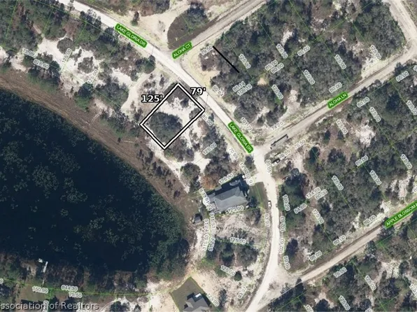 454 Lake Gloria Dr, Lake Placid, FL 33852