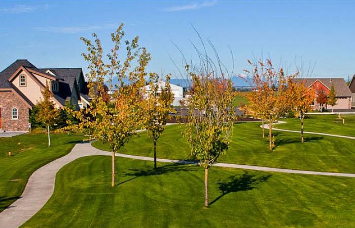 park area
