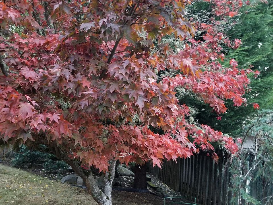 1st image of 3315 Tahoma Pl W #2