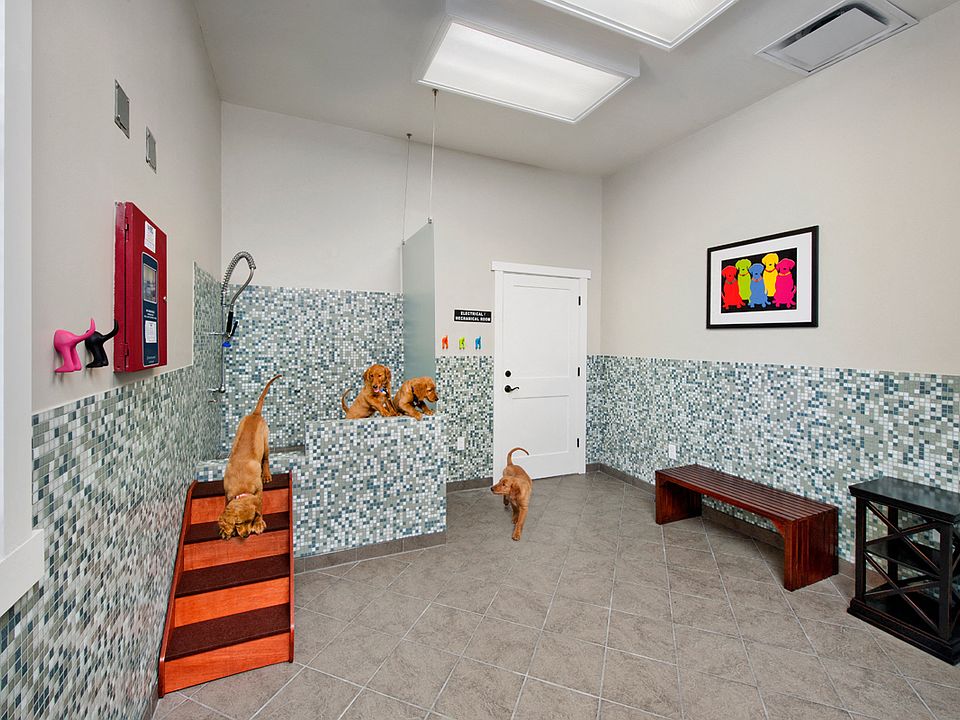 Pet Spa