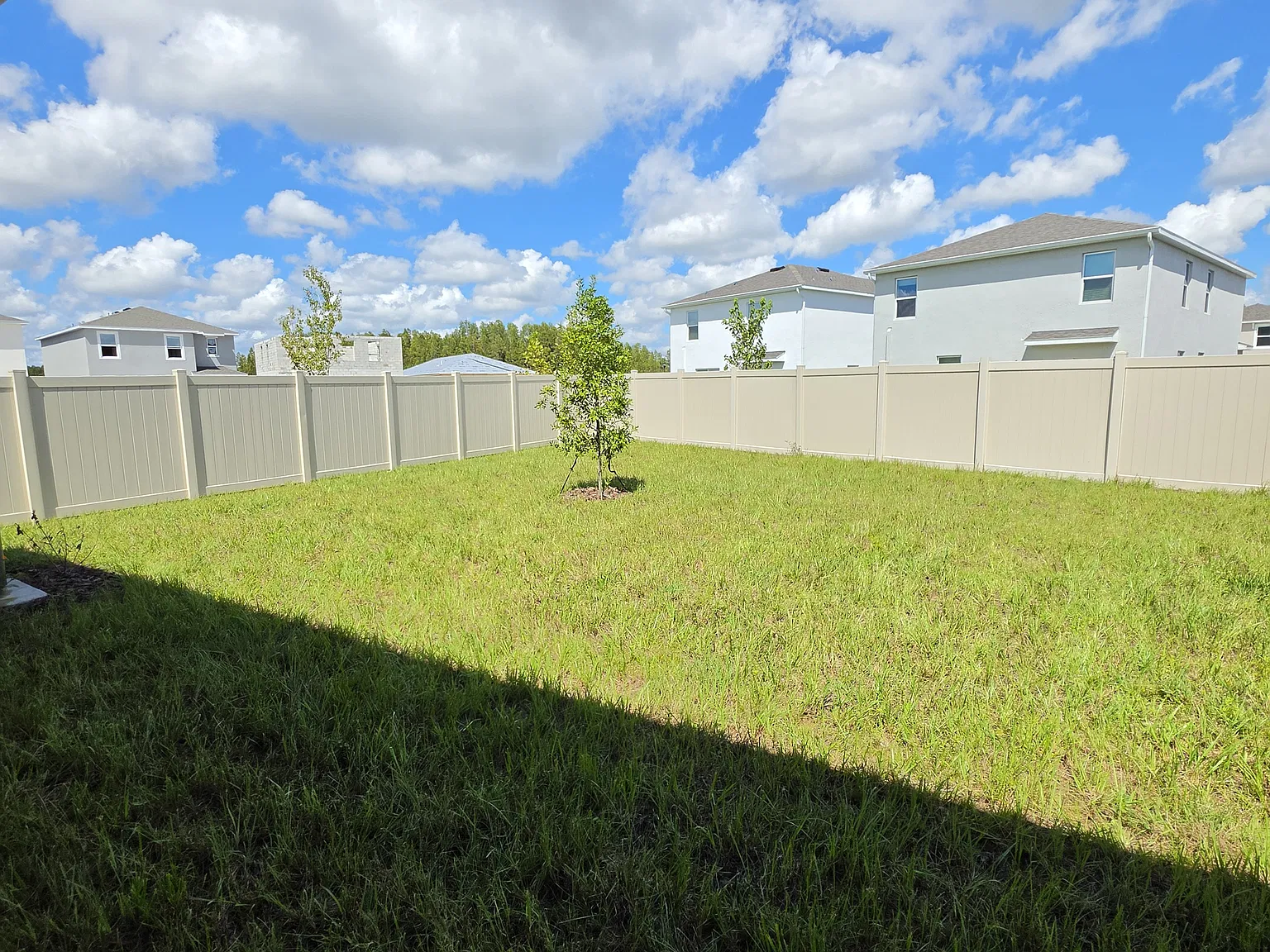 3 bed, 1560 sqft, $2,245 — Photo 4