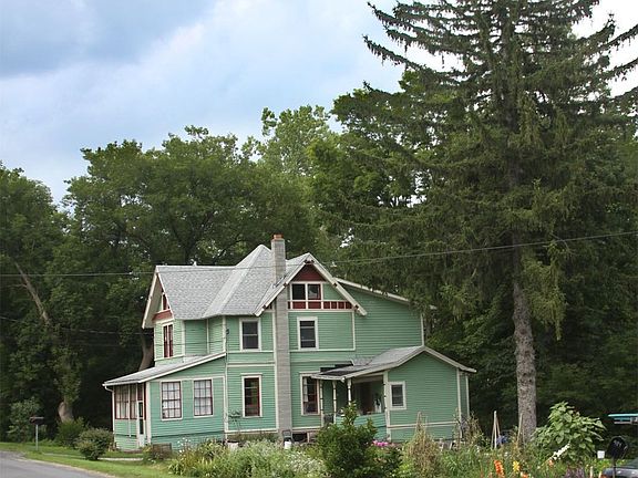 Tallest tree in town!