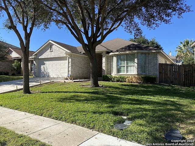 1st image of 4103 Chinkapin Oak