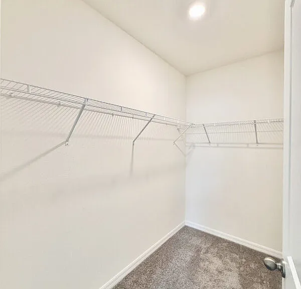 5699 Chorleywood Ln — Photo 40