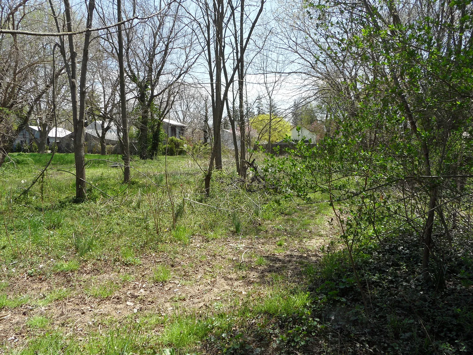 26629 Trustee St photo 1