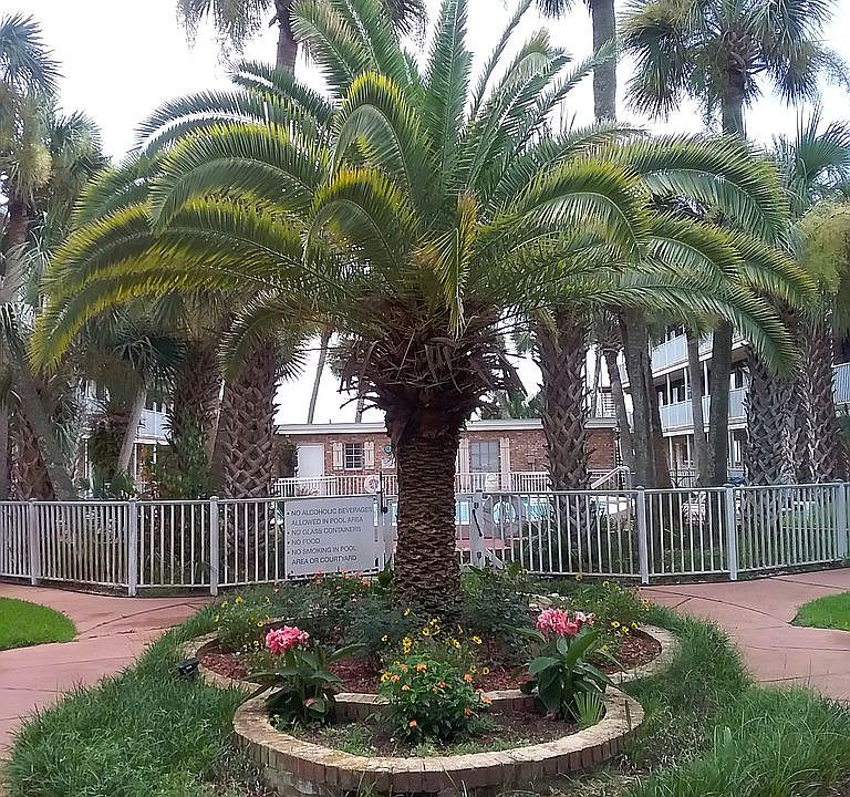 1st image of 600 Scenic Highway 113