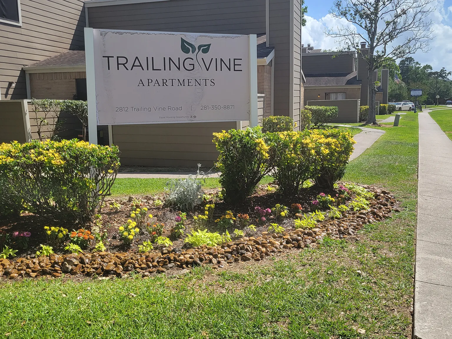 Trailing Vine Apartments — Photo 4