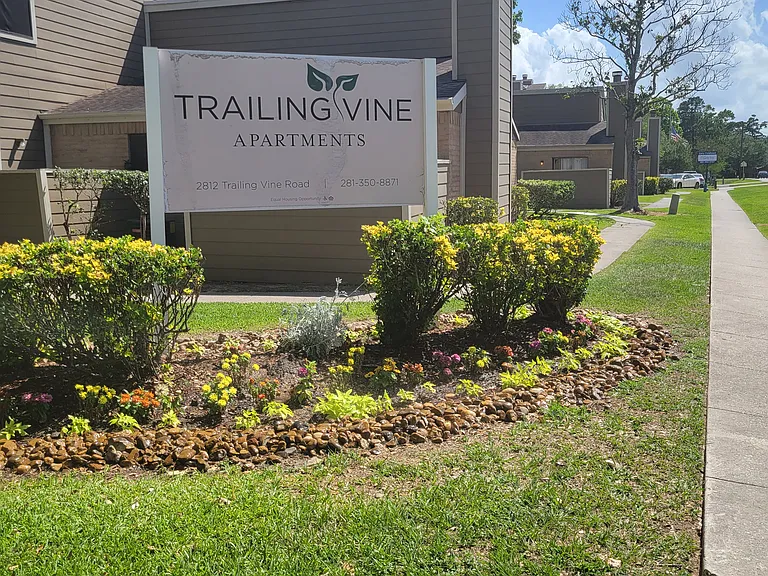 Trailing Vine Apartments — Photo 4
