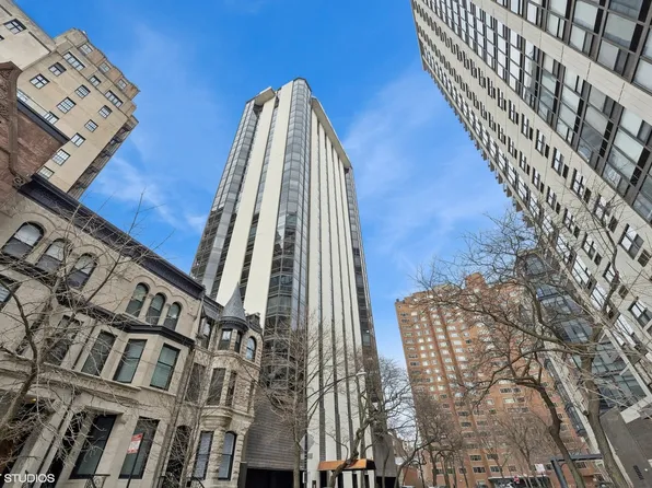 1310 N Ritchie Ct APT 4C, Chicago, IL 60610