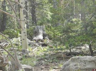 1617 Kopf Lane, Fort Garland, CO 81133