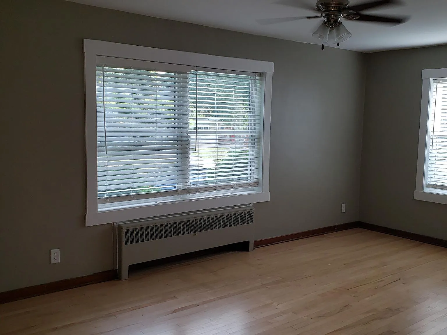 1 bed, $900 — Photo 3