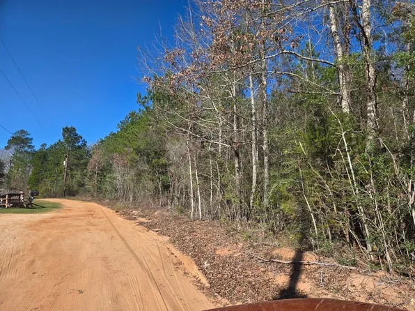 Private Road 5020, Woodville, TX 75979
