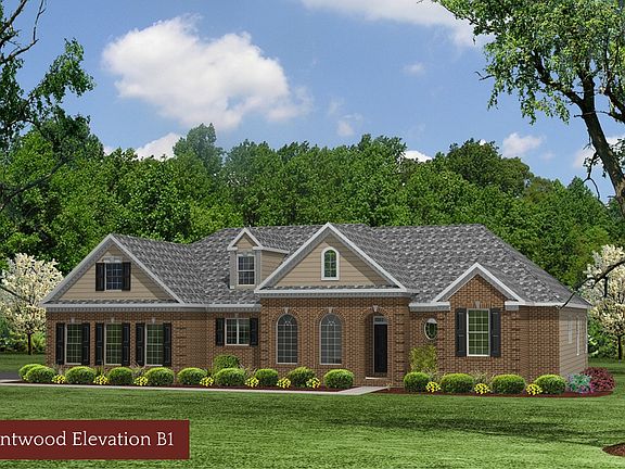Elevation Elevation B1 w optional sideload