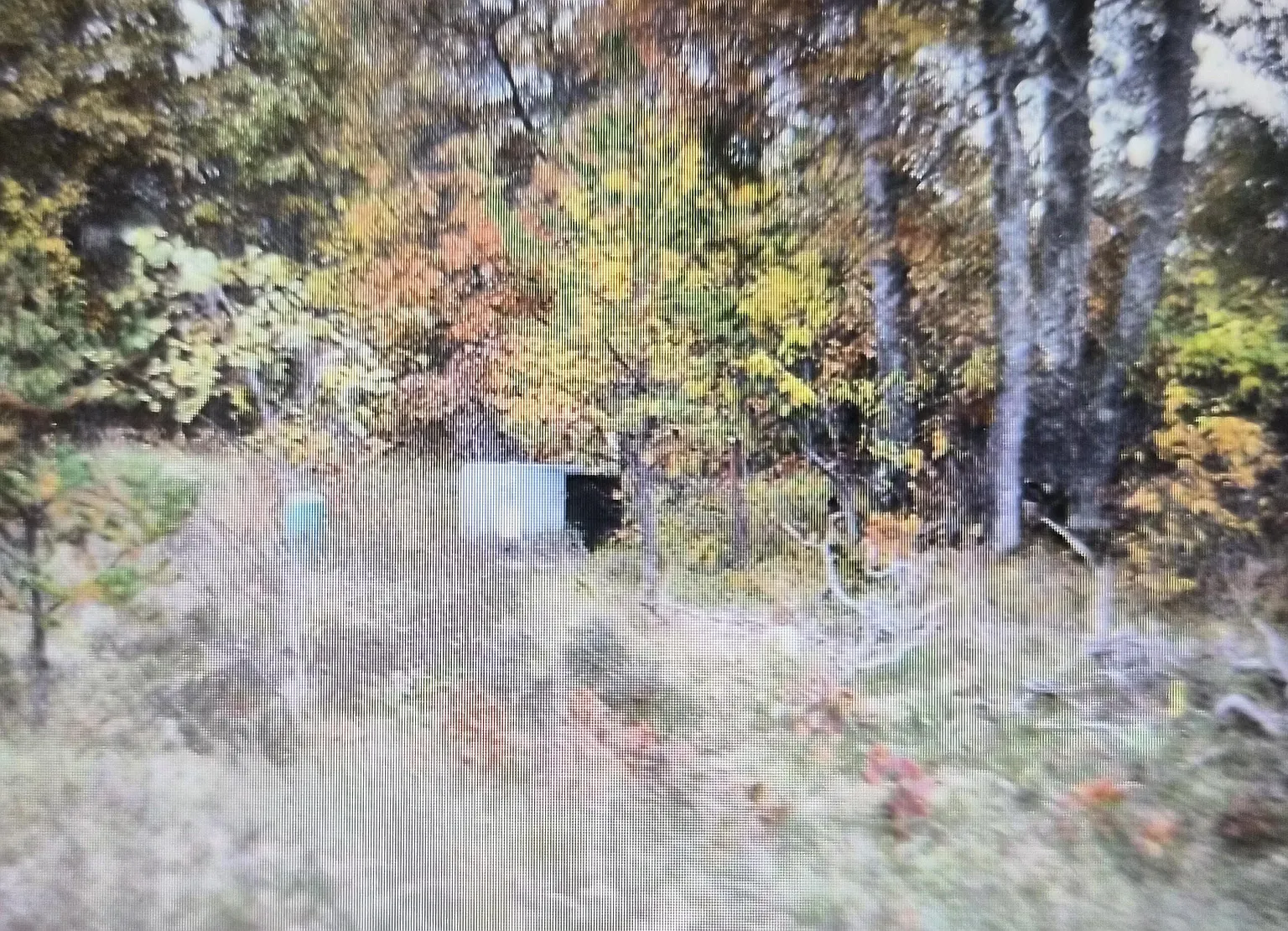 LOT 37 Northwood Dr photo 1
