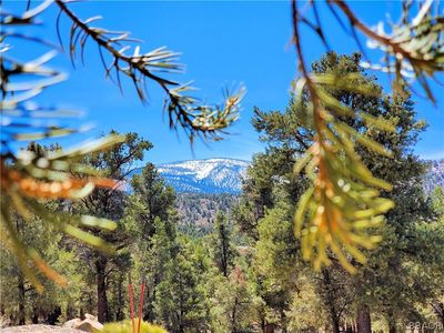 0 Ponderosa Ranch Rd, Big Bear City, CA, 92314