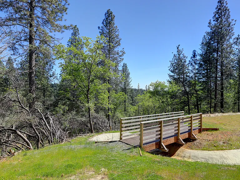 Forest Springs — Photo 8