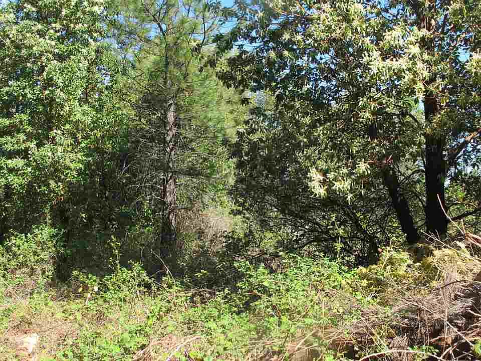2nd image of 13224 Tyler Foote Rd