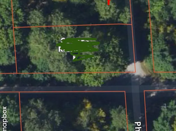 Lots 2 3 Pheasant Rd, Lincoln, MI 48742