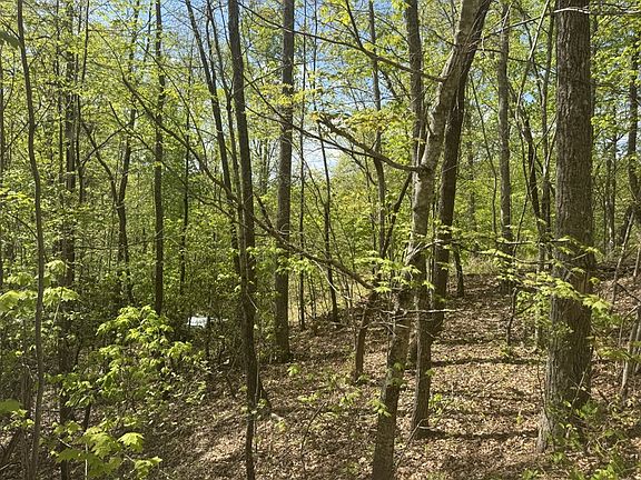 5th image of LOT 24 Falls View Dr