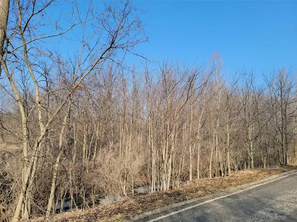 0 White Creek Rd, Marlette, MI 48453