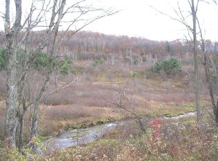 332 Tunnel Rd, Pt Crane, NY 13833