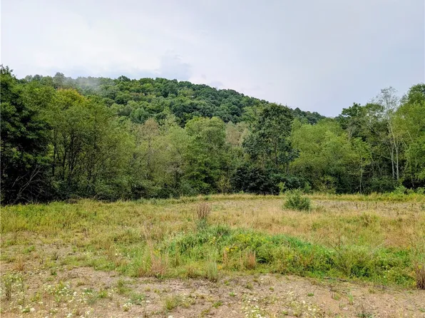 0 Little Rock Rd, Kittanning, PA 16201