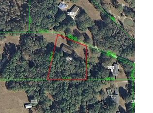 33255 S Mandrake Rd, Wesley Chapel, FL 33543