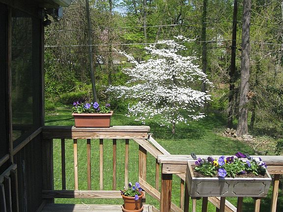 View of back from kitchen window