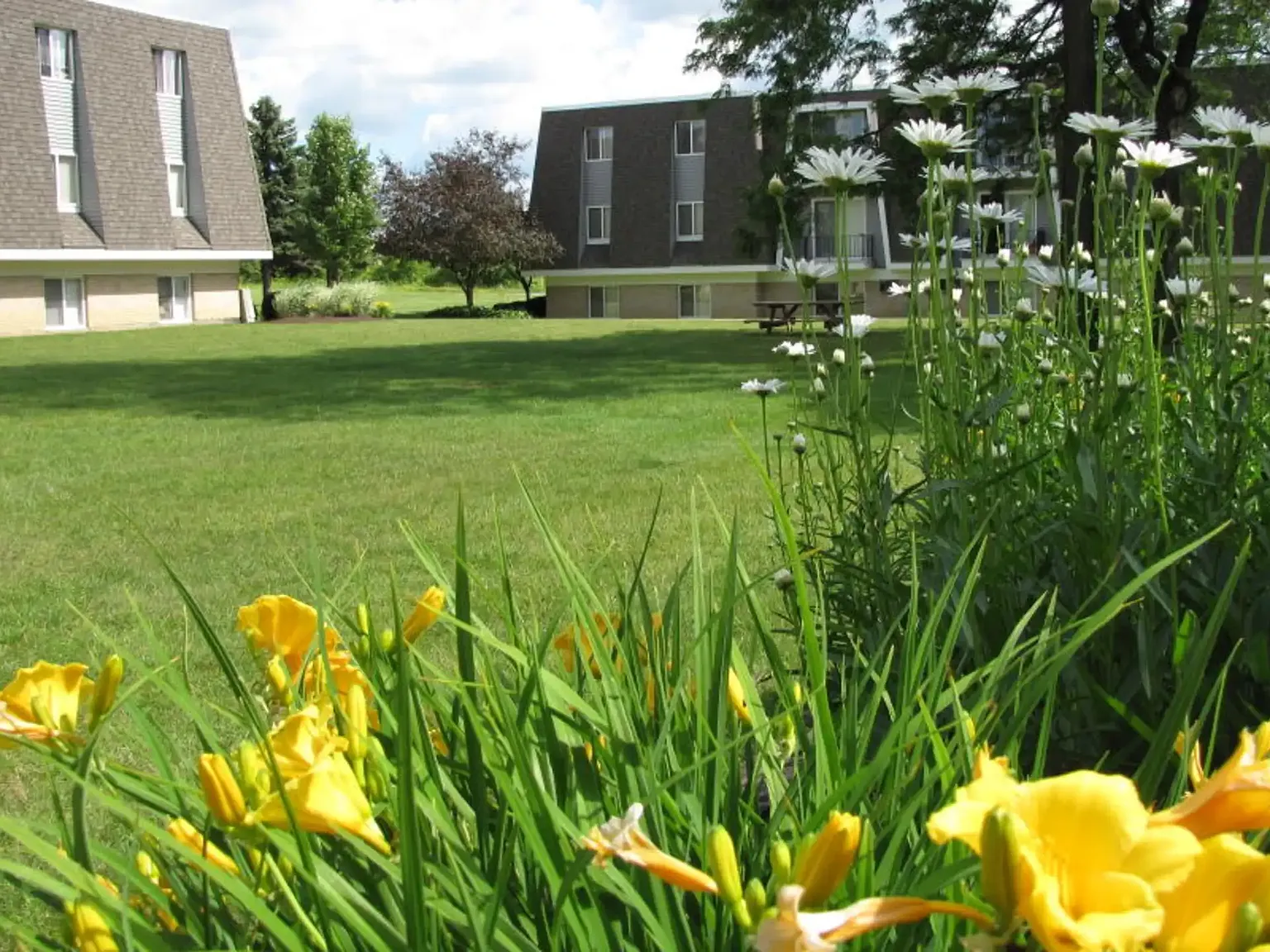 The Meadows of Boardman — Photo 1