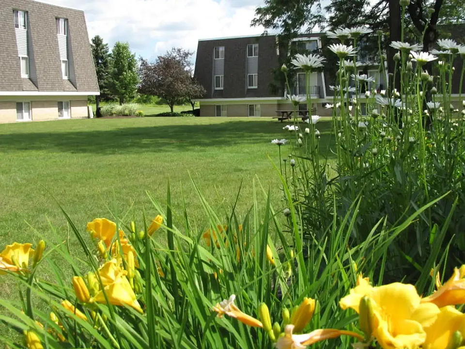 The Meadows of Boardman