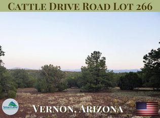 8 Cattle Drive Rd, Vernon, AZ 85940