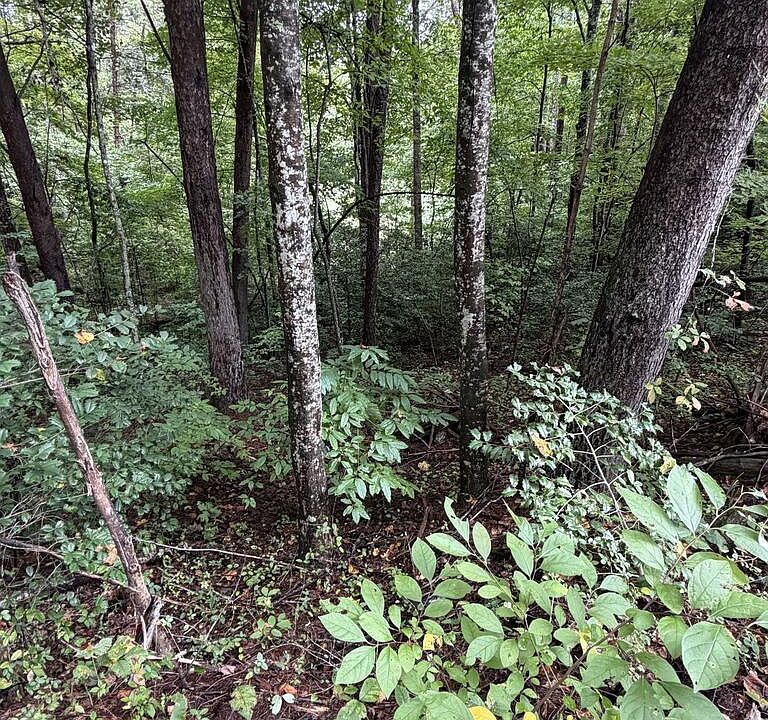 1st image of 0 Little Wolf Creek Rd