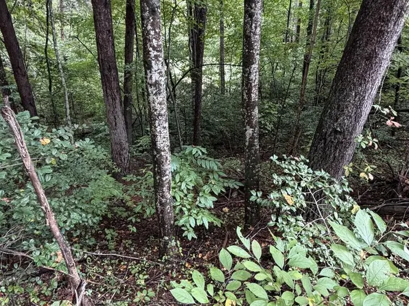 0 Little Wolf Creek Rd, Murphy, NC 28906