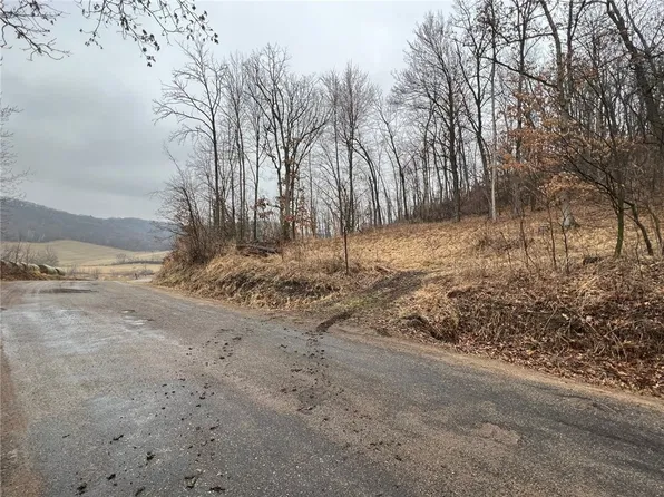 20 Acres Albany X, Mondovi, WI 54755
