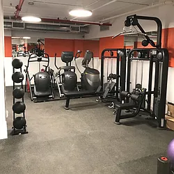 Rented by Sieber International