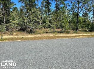 0 Georgia Rd TRACT 17, Butler, GA 31006