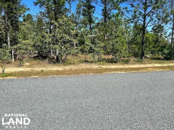 0 Georgia Rd Tract 17, Butler, GA 31006