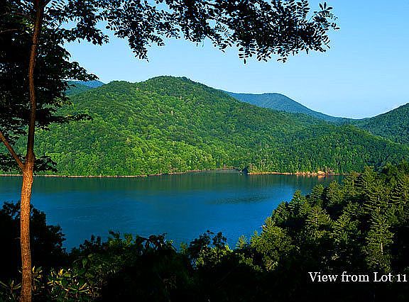 View in Summer upper house p