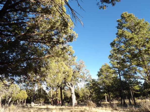 2570 Kettle Way, Happy Jack, AZ 86024