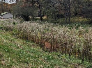 11 Wilson St, Blue Ridge, GA 30513