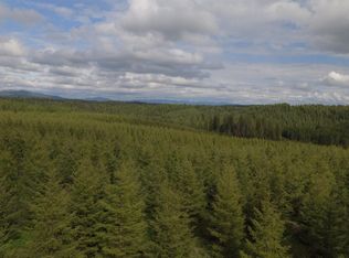 Badger Ridge Dr PARCEL 3, Orofino, ID 83544