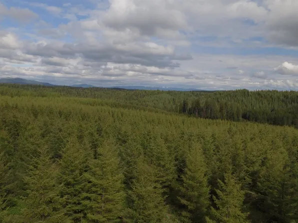 Badger Ridge Dr Parcel 3, Orofino, ID 83544