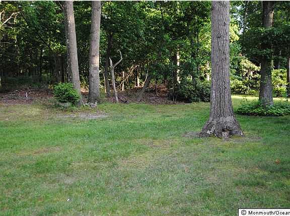3rd image of 153 Rosewood Drive #A