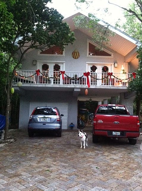 House in the trees!