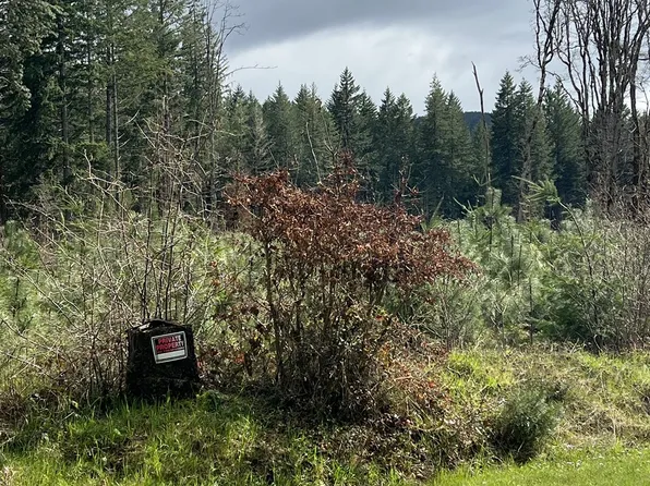 23650 Suttle Rd, Elmira, OR 97437