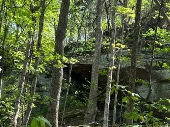 0 Sheep Bluff Rd, Cookeville, TN 38506