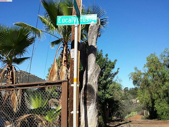 4th image of 2423 Eucalyptus Dr